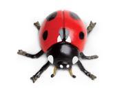 Ladybug Hidden Kingdom Figure Safari Ltd