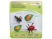 Life Cycle Of A Ladybug figures Safari ltd