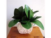 TinkSky Branch of Foam Phalaenopsis Orchid Leaf for Home Office Decoration Green