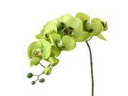 TinkSky Artificial Butterfly Orchid Flower Plant Home Decoration Green
