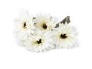 TinkSky 5pcs Artificial Gerbera Daisy Flower for Wedding Home Decoration White