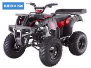 Tao Tao 250CC RHINO250 ATV