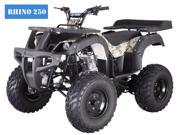 Tao Tao 250CC RHINO250 ATV