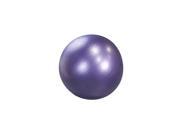 Stay Ball Weighted Stability Ball by Maha Fitness