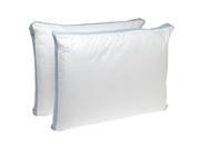 Wellrest Firm Density 2 Piece Quilted Sidewall Pillow