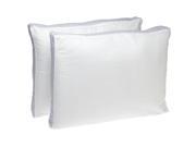 Wellrest Extra Firm Density 2 Piece Quilted Sidewall Pillow