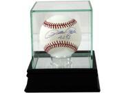 Glass Single Baseball Display Case