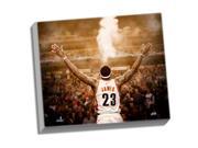 NBA Canvas Cleveland Cavaliers LeBron James Powder