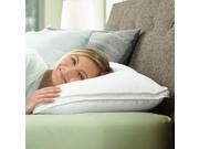 BioSense Select Sleep Pillow with Soft Support