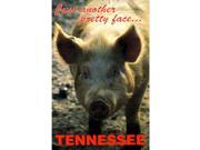 Jenkins Tennessee Postcard Pretty Face pack Of 600