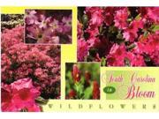 Jenkins South Carolina Postcard Wildflowers Multiview pack Of 700
