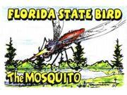 Jenkins Florida Postcard Mosquito pack Of 700