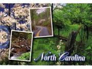 Jenkins North Carolina Postcard Scenic Multiview pack Of 700