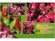 Jenkins North Carolina Postcard Wildflowers Multiview pack Of 700