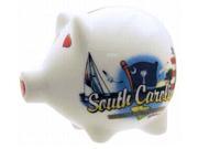 Jenkins South Carolina Piggy Bank Elements pack Of 60