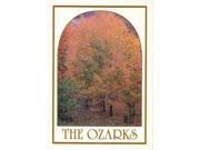 Jenkins Ozarks Vertical Postcard Fall Trees pack Of 700