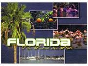 Jenkins Florida Postcard Scenic Multiview pack Of 700