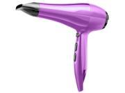 BeautyKo Dex Pro Salon Grade Hair Dryer Purple