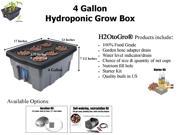 4 Gallon H2OtoGro® Self watering Hydroponic Deep Water Culture Grow System ~ Grow herbs flowers fruits and vegetables all year round!
