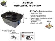 3 Gallon H2OtoGro® Hydroponic Bubbler Deep Water Culture Grow System ~ Grow herbs flowers fruits and vegetables all year round!