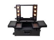 Rolling Studio Makeup Artist PVC Cosmetic Case w Light Mirror Black Train Table