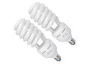 2X 85W 5500K Photo Studio Energy Saving Day Light Bulbs Compact Fluorescent Lamp