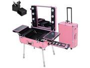 Rolling Studio Makeup Artist Cosmetic Case w Light Leg Mirror Pink Train Table