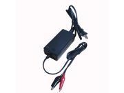 12 volt 2000ma Charger ac Adapter for Sealed Lead Acid Sla Battery with Alligator Clips