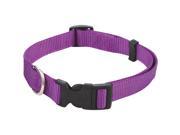 Westminster Pet 34142 Nylon Pet Fashion Dog Collar 3 4X14 20 FASHION COLLAR