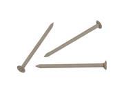Hillman Fastener Corp 42077 Stainless Steel Trim Nail 1 1 4 CLAY SS TRIM NAIL