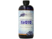 Liquid Health Products Hydro Soluble COQ10 Blueberry Hawthorne and Goji 16 Fluid Ounce