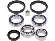 Front Differential Bearing Kit Arctic Cat 500 4x4 w AT 500cc 2002
