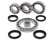 Rear Differential Bearing Kit Suzuki LT-F500F 500cc 2001 2002 Rear Differential Bearing Kit Suzuki LT-F500F 500cc 2001 2002