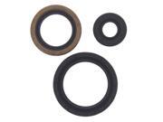 Engine Oil Seal Kit Polaris Sportsman 500 4x4 DUSE 500cc 2001 2002 Engine Oil Seal Kit Polaris Sportsman 500 4x4 DUSE 500cc 2001 2002