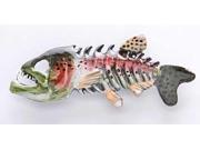 Painted ~ Rainbow Trout Skeleton Fish ~ Lapel Pin Brooch ~ FP112F
