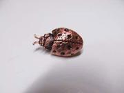 Copper ~ Ladybug ~ Lapel Pin Brooch ~ AC037