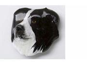 Painted ~ Border Collie ~ Lapel Pin Brooch ~ DP030