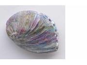 Painted ~ Abalone Shell ~ Lapel Pin Brooch ~ AP160