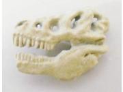 Painted ~ Tyraninosaurus Rex Fossilized Head ~ Lapel Pin Brooch ~ AP183
