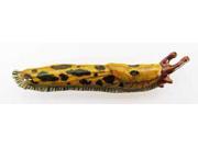 Painted ~ Banana Slug Spotted ~ Lapel Pin Brooch ~ AP228B