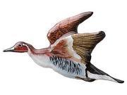 Painted ~ Pintail Flying ~ Lapel Pin Brooch ~ BP010