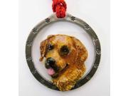 Painted ~ Golden Retriever ~ Holiday Ornament ~ DP090OR