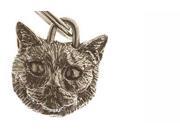 Pewter ~ Personalized ~ Shorthair Cat Pet Tag ~ CT007