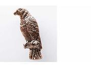 Copper ~ Amazon Parrot ~ Lapel Pin Brooch ~ BC094