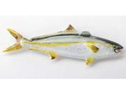 Painted ~ Yellowtail ~ Lapel Pin Brooch ~ SP015