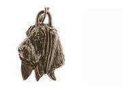 Pewter ~ Personalized ~ Coon Hound Pet Tag ~ DT060
