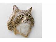 Painted ~ Maine Coon Cat ~ Lapel Pin Brooch ~ CP005B