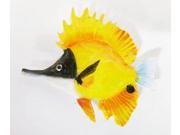 Painted ~ Butterfly Fish ~ Lapel Pin Brooch ~ SP089