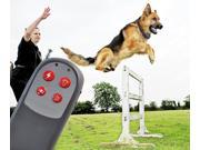 4in1 Dog Training Remote Vibration Shock Sound Free Anti Bark Stop Collar NE 3