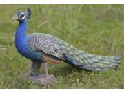 Peacock Small Statue